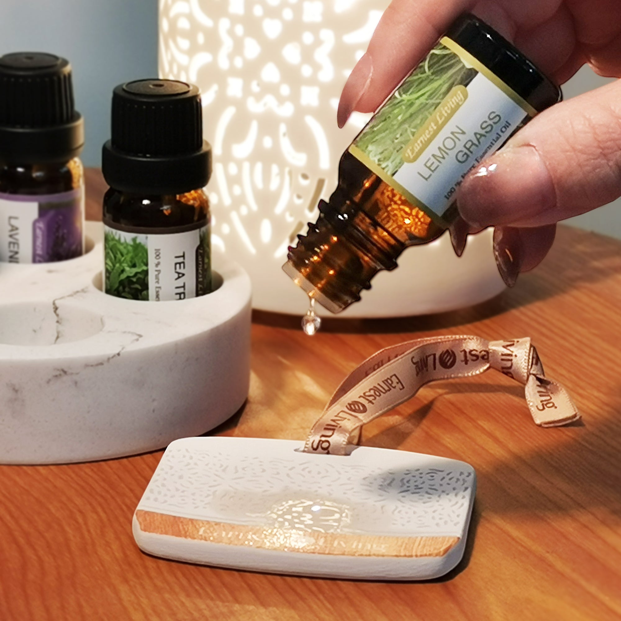 Earnest Living 陶瓷水氧機造型擴香片