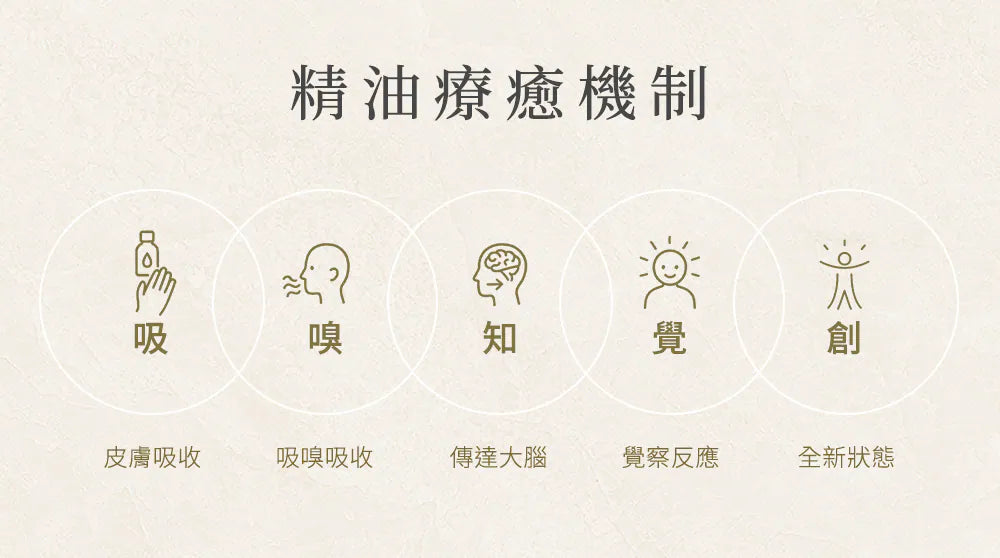 精油的作用方式