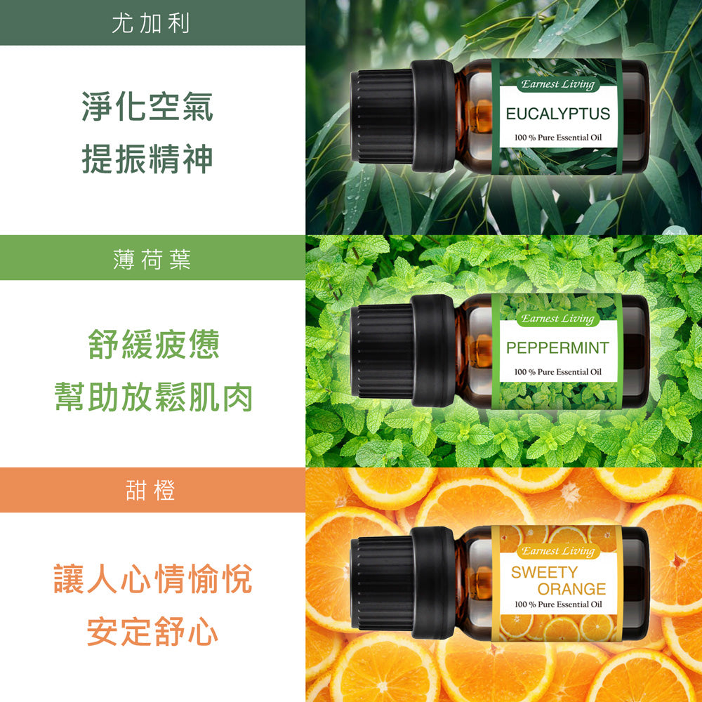 [限定款] Earnest Living 鏤空陶瓷香氛機禮盒組