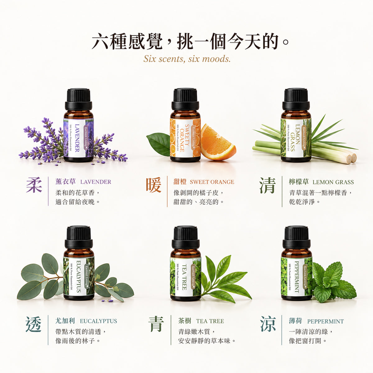 Earnest Living 六感 Six Notes 植萃香氛油禮盒 商品圖 2