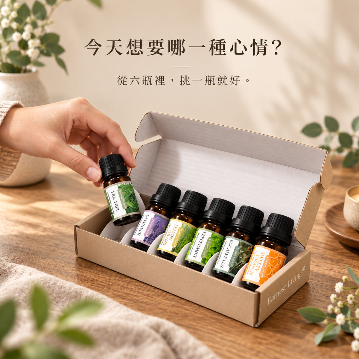 Earnest Living 六感 Six Notes 植萃香氛油禮盒 商品圖 3